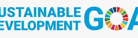 The UN Sustainable development goals