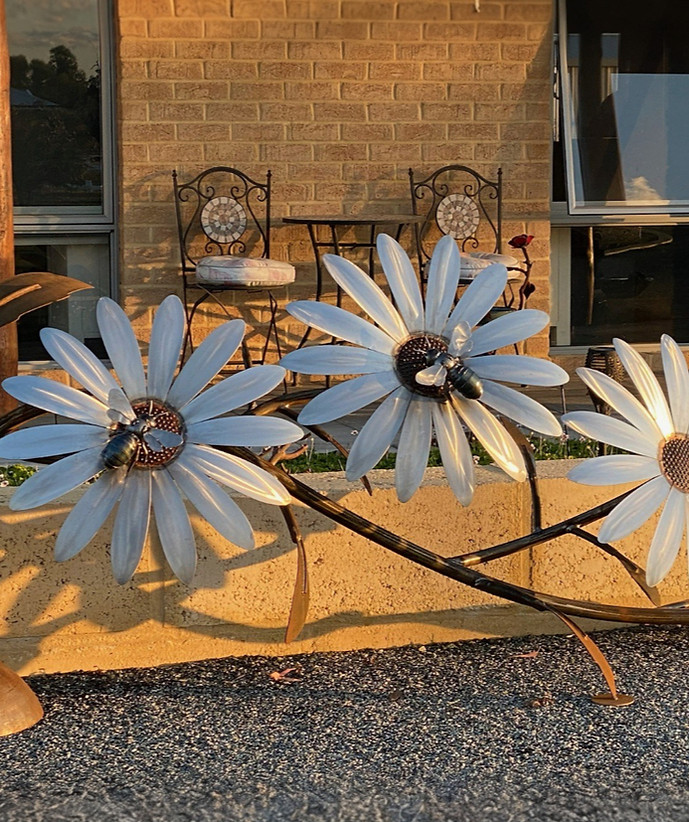 IMG_4896_edited_edited_edited_edited_edi