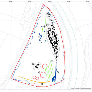 A colour map of the results from a geophysical survey, showing sub-circular shapes, a cluster of pits, and an area of magnetic disturbance. 