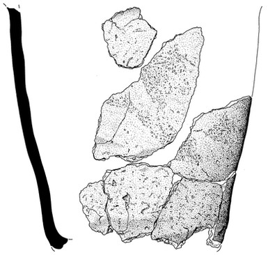 Black and white drawing of multiple pottery sherds placed over the outline of a pot, showing where they would have been located when the pot was whole.