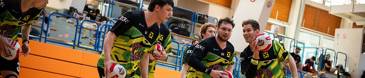 Dodgeball 1: Basics and Skill Training