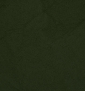 Leaf Close Up_edited.jpg