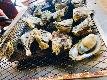 海上牧場 (15).jpg