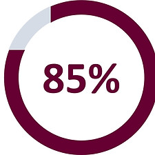 85%.jpg