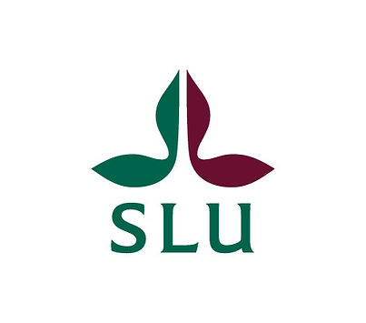 slu_logo_webb_edited.jpg