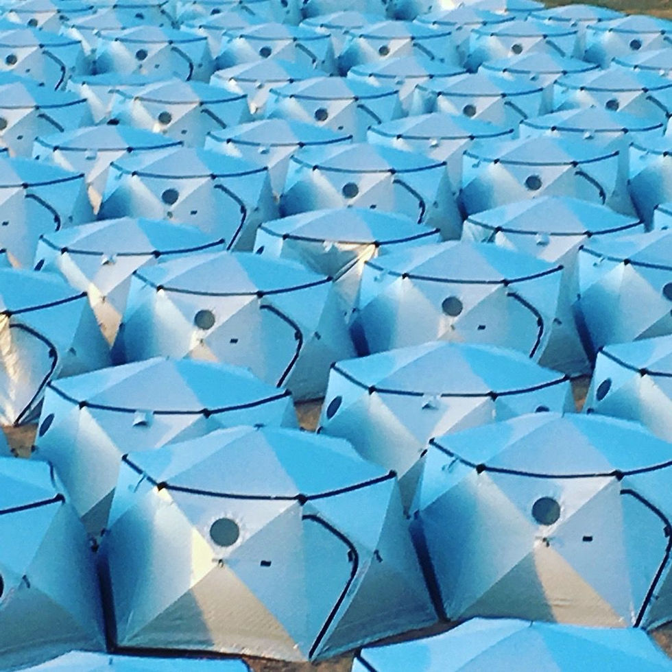 WhatsApp Image 2025-09-19 at 21.04.52_faaf2c38.jpg