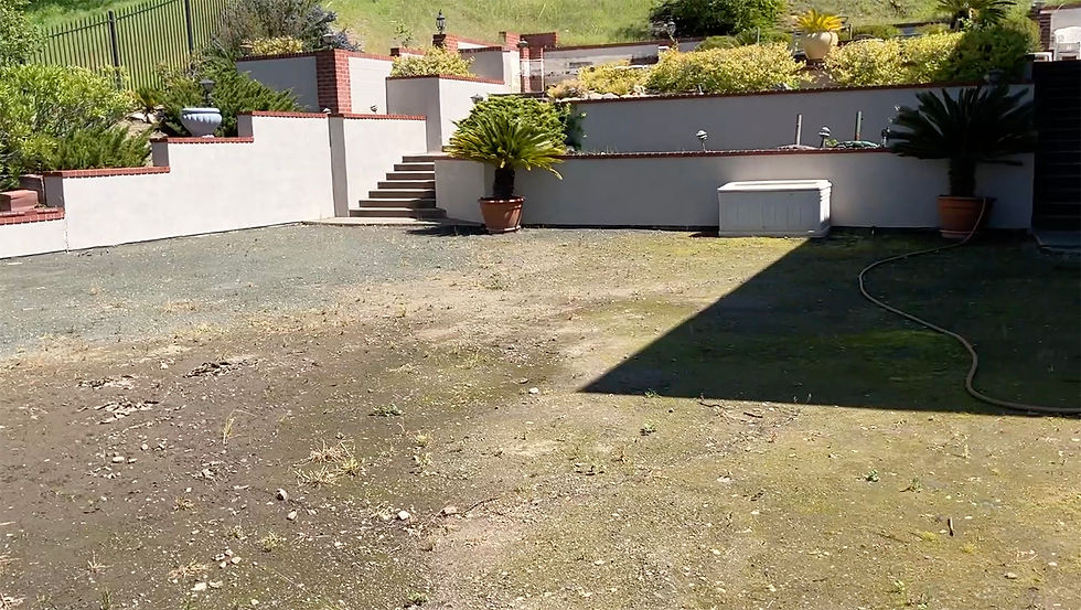 los gatos pool fill in