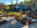 back yard transformation