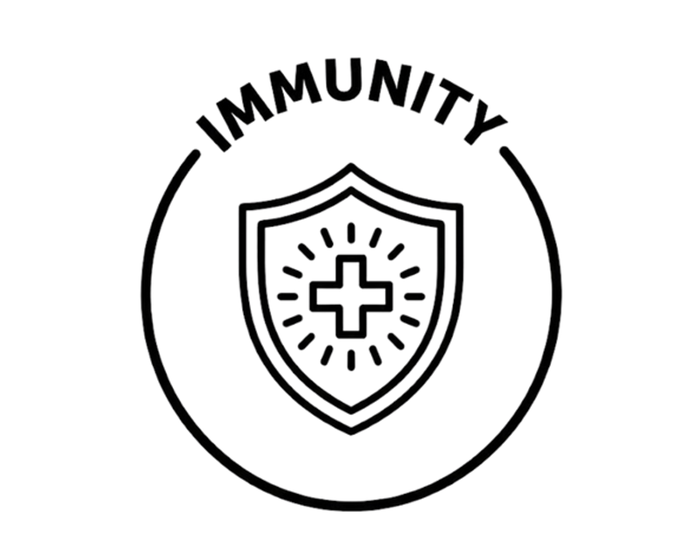 Bodybox Carousel Segmentation (3)