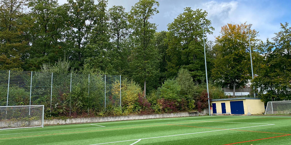 Grünschnitt beim FSV "Wir brauchen eure Unterstützung!"