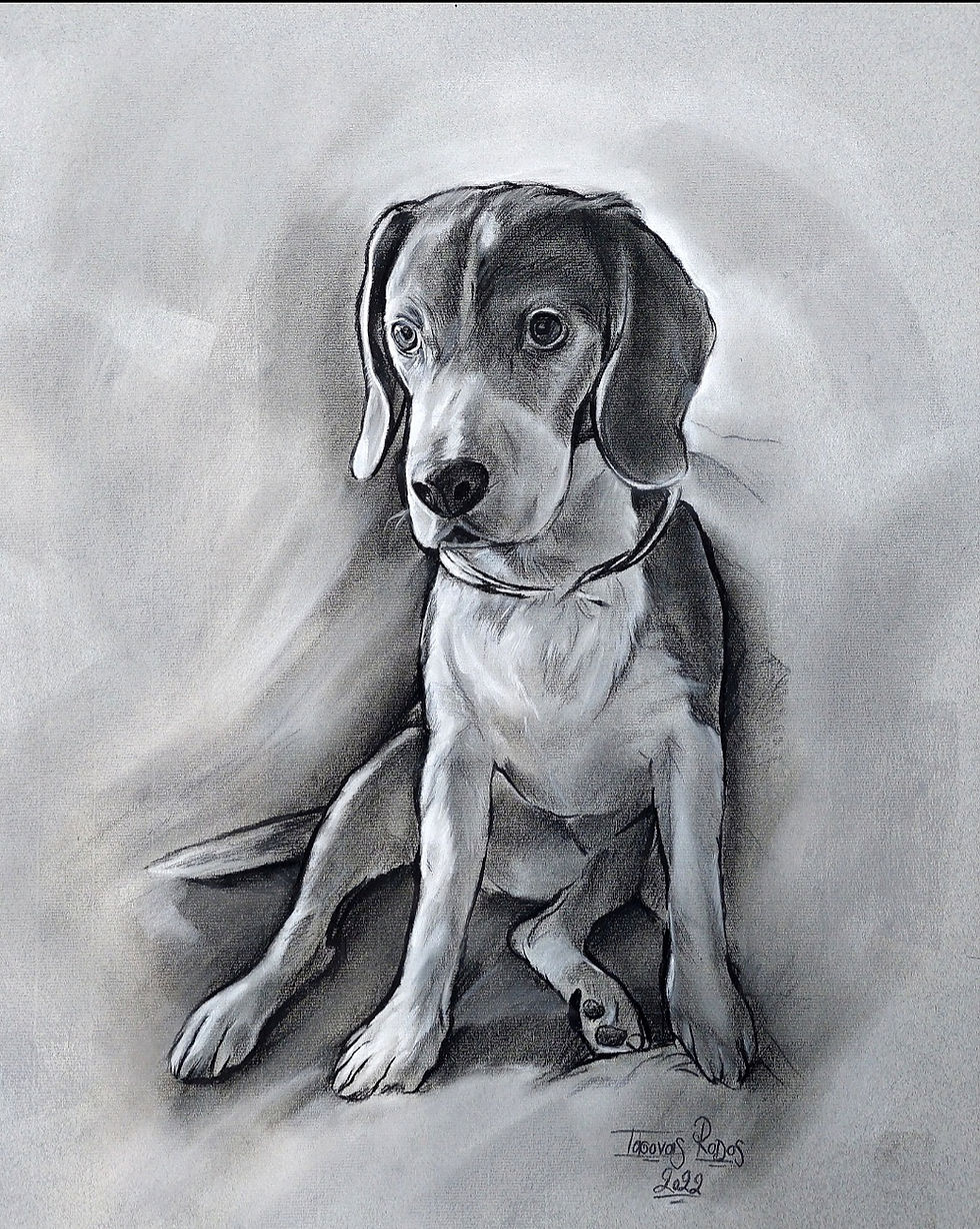 Dog | Pastel | Jason Petras | TERAVARNA