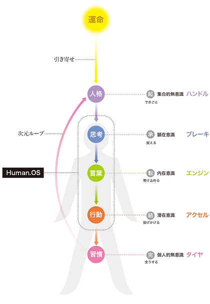①Human Identity Theory.png