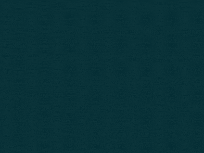 Before and After (3) (1).gif