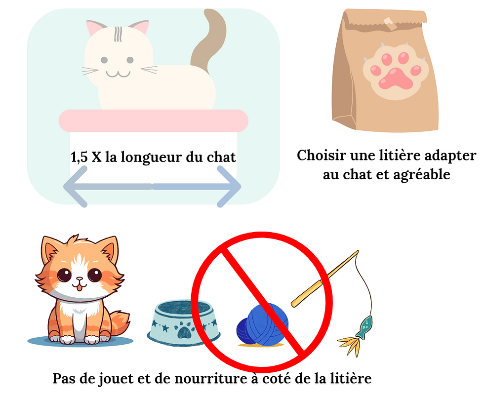Que doit on faire pour avoir un chat propre