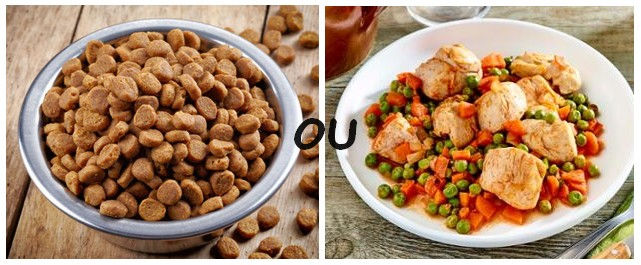 Croquettes ou ration ménagère