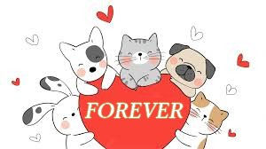 Forever