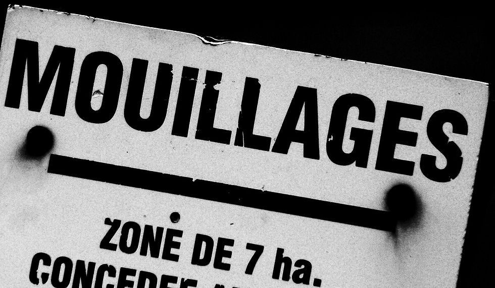 échoués 3