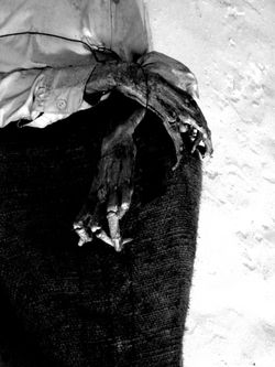 La Mort vêtue 32