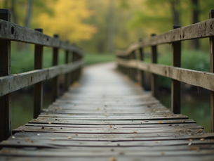 Forgiveness : Debunking Common Myths.