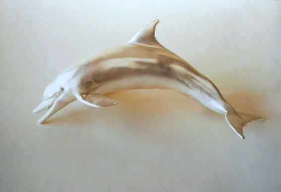 Dolphin