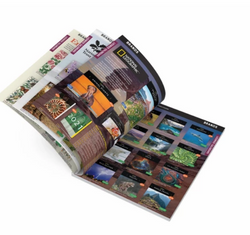 Brochure & catalogue design