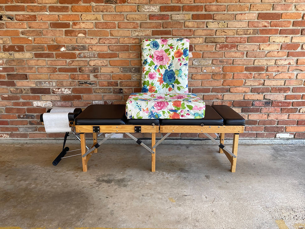 Thumbnail: Ann Arbor PregoPillow Set