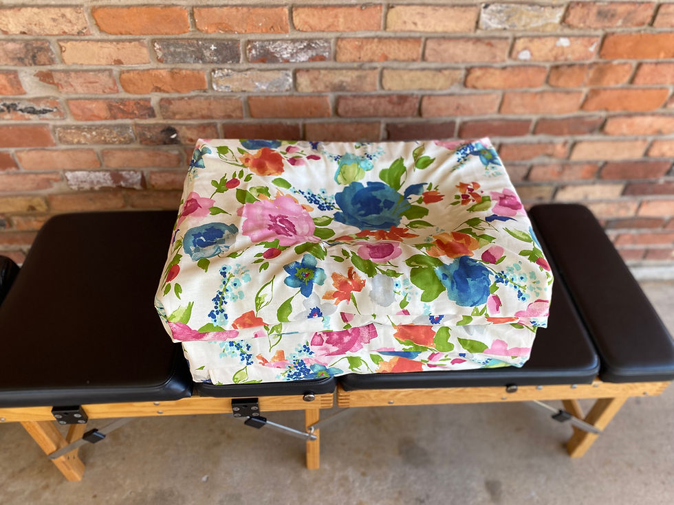 Thumbnail: Ann Arbor PregoPillow Set
