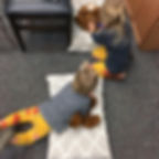 Thumbnail: ChiroClicker Toy