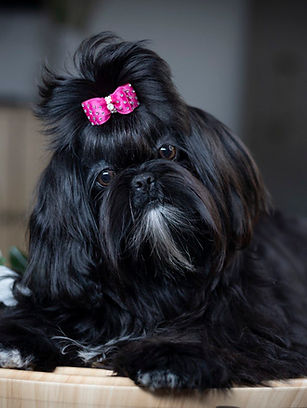 IMAGE 2025-11-28 12_36_28.jpg