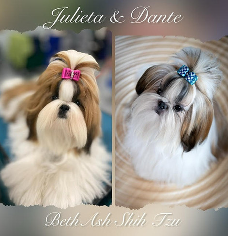 julieta x dante.jpg