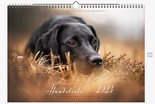 Bildschirmfoto 2022-10-28 um 10.52.08.png