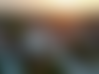 The Essential Role of Property Management Services for Landlords in New Zealand