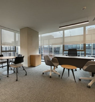 Sunscreen Roller Blinds Project_edited.j