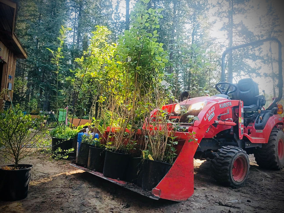 Intentional Homesteading Series - Winter 2026
