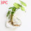 Thumbnail: Fashion Wall Hanging Glass Flower Vase Terrarium Wall Fish Tank Aquarium