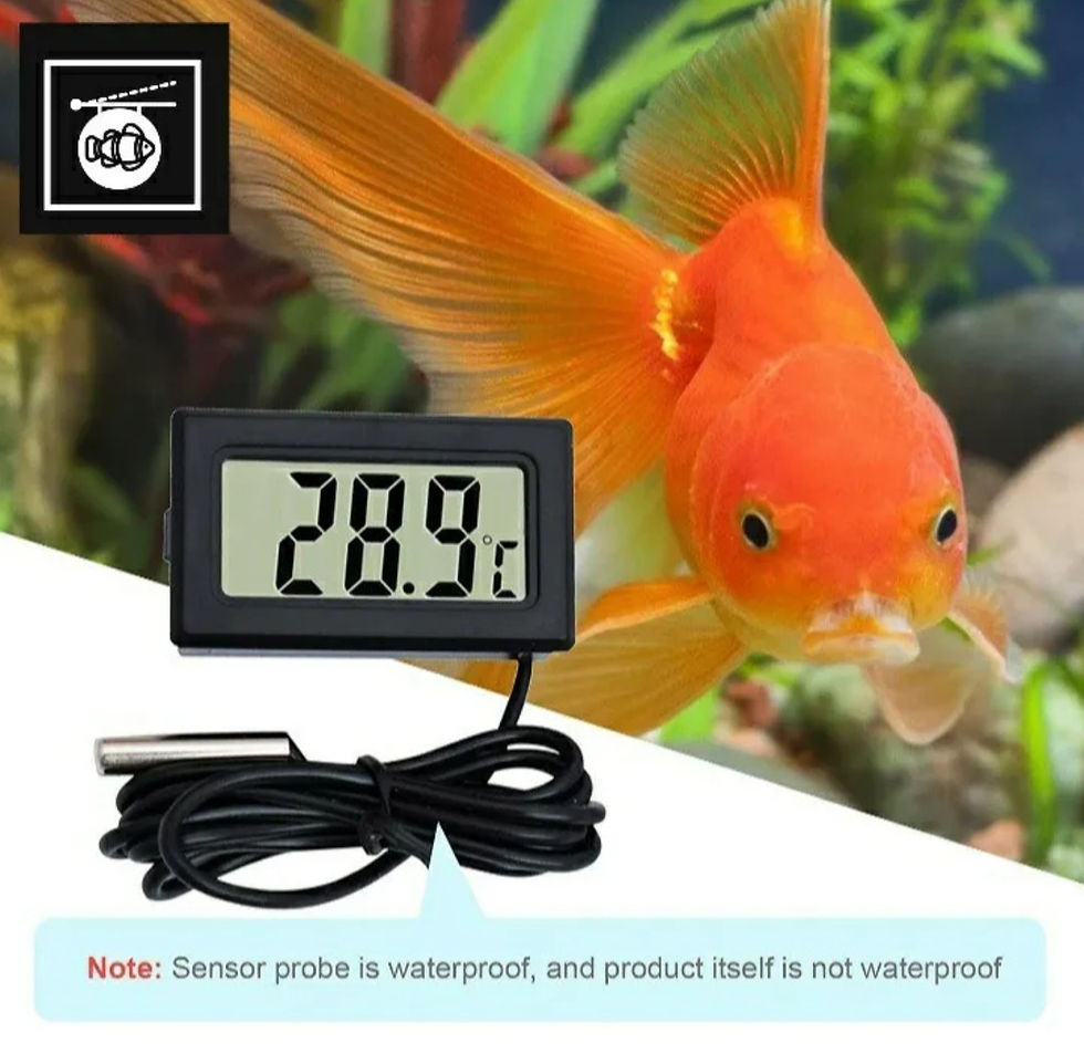 Digital LCD Thermometer,Reptile,Vivarium,Snake Lizard,Fish Tank Aquarium,house,