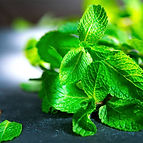 Aromatherapy Oil Treatments
