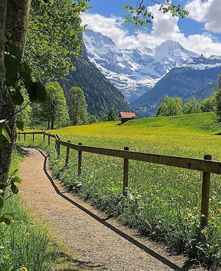 Paysage suisse.jpg