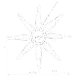 Boceto vista inferior