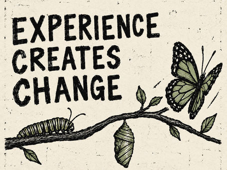 Experience Creates Change