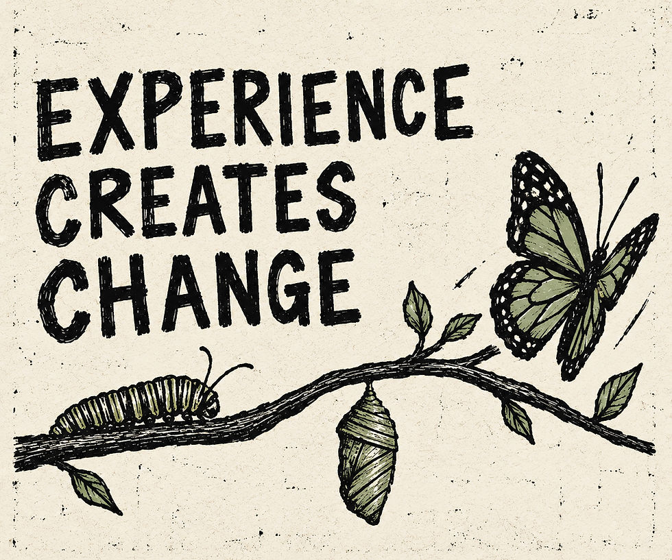Experience Creates Change