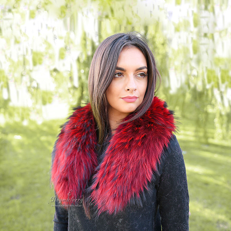 Thumbnail: Detachable Raccoon Fur Collar in Scarlet