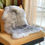 Thumbnail: 1 Pelt  Australian Sheepskin Rug