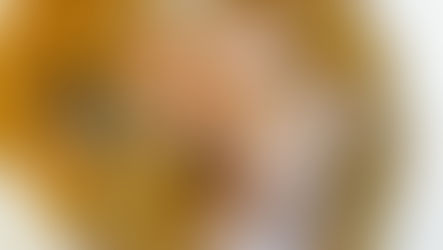 Mushroom and Leek Pumpkin Risotto with Chicken Thighs