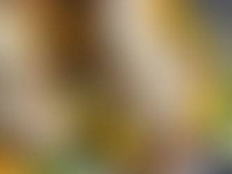 Balsamic Chicken Sausage, Caramelized Onion and Kale Butternut Squash Boats