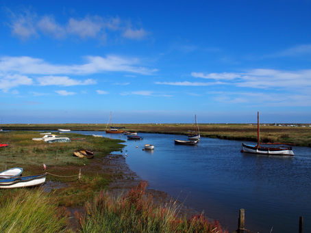 International acclaim for Norfolk's nature