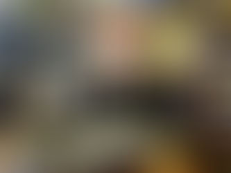 West End Marjorie ensures the show goes on in Blakeney’s oldest pub