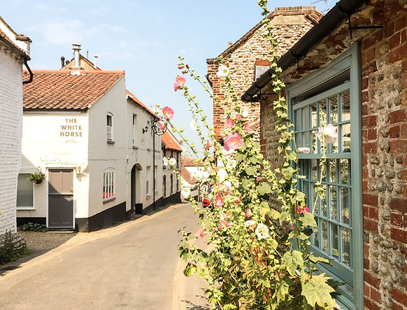 Hollyhocks on street.jpeg