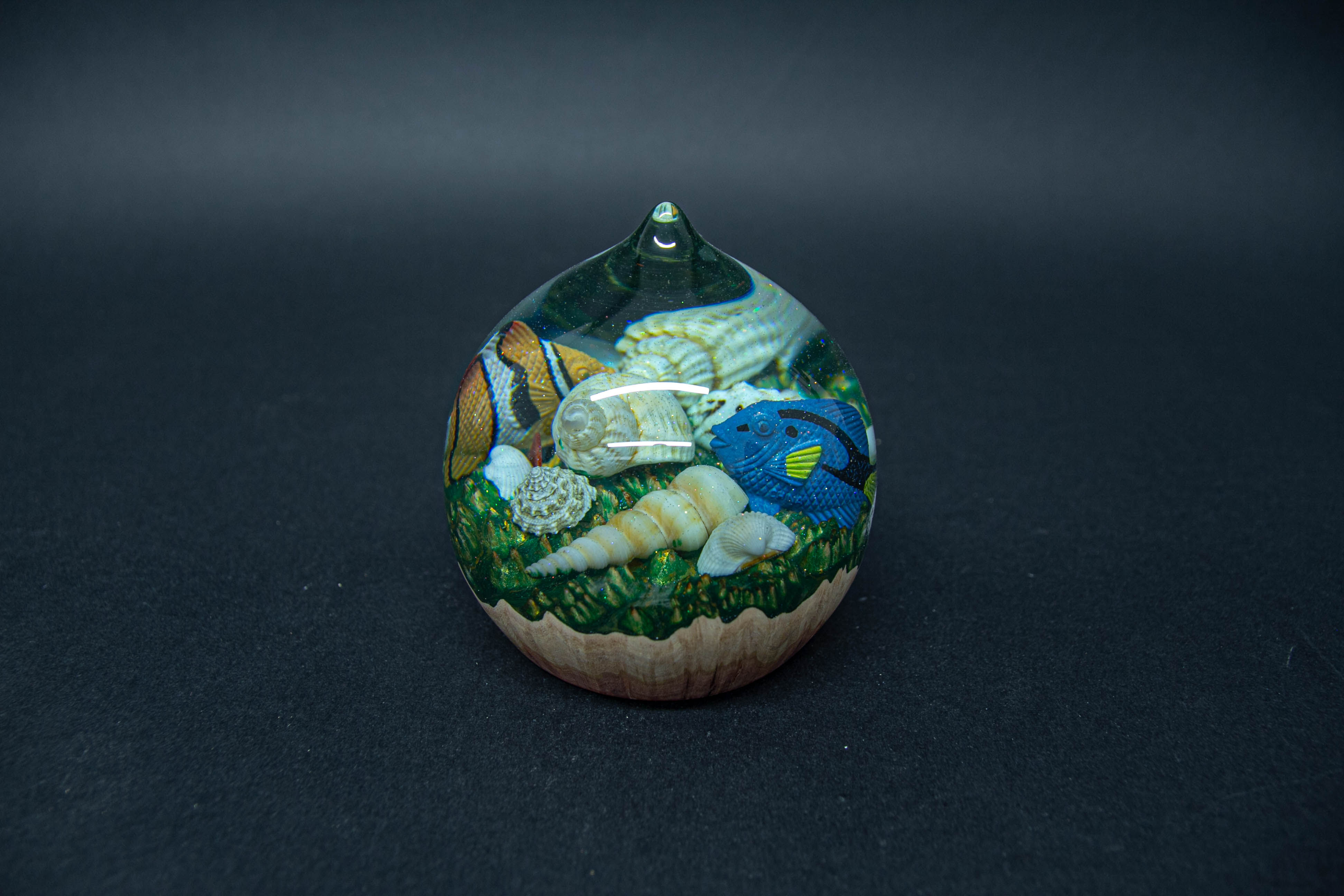 Ocean Themed Hybrid Rain Drop