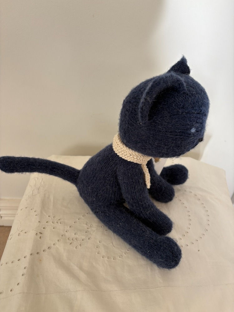 Dark brown cat